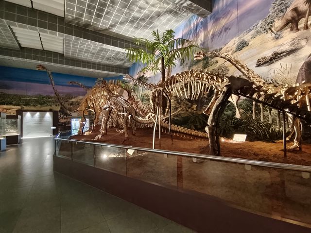 楚雄彝族自治州博物館
