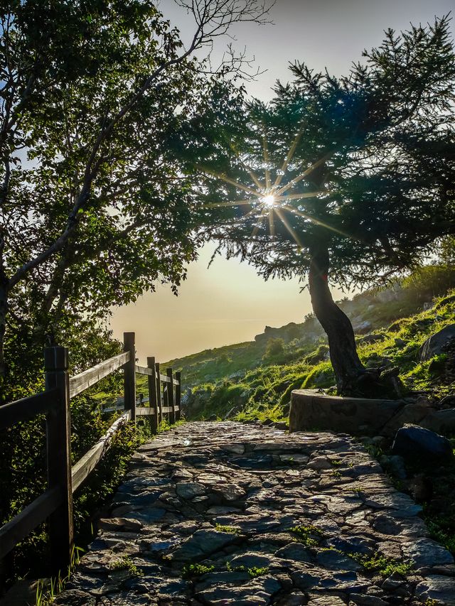 東靈山夜爬星辰大海觸手可及