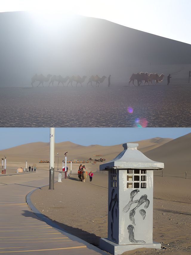 敦煌治癒玩沙騎駱駝好去處