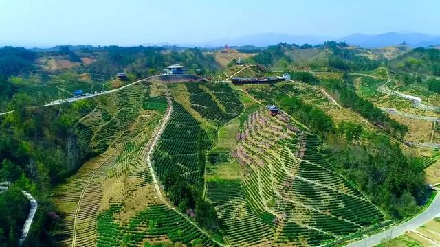 康養青山