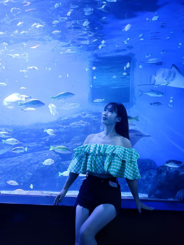 這個夏天，一起去海洋館避暑叭！