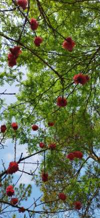十里河灘