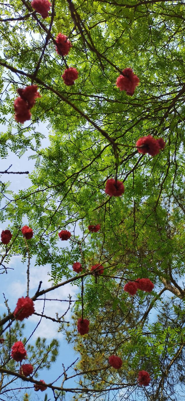 十里河灘