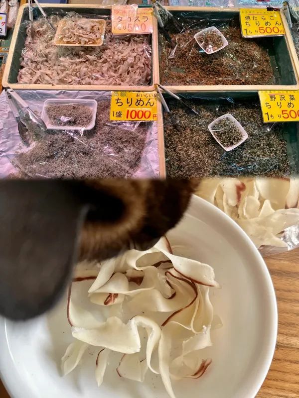 五郎沒有騙我❗️海之京都真的有人間美味🇯🇵