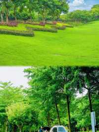 深圳可以野外奔跑嘅公園。