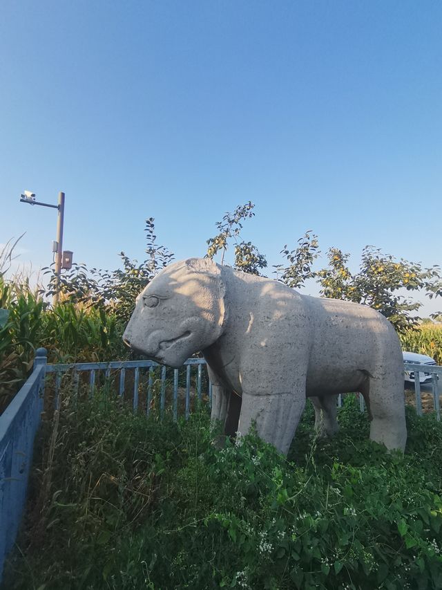 三原行｜陝西關中十八唐帝陵首座之獻陵。