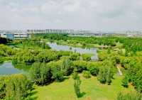 寶豐濕地公園旅遊，環境優美，風景如畫，是休閒遊好去處。