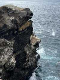 Point Lobos 州保護區。