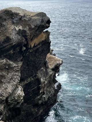 Point Lobos 州保護區。
