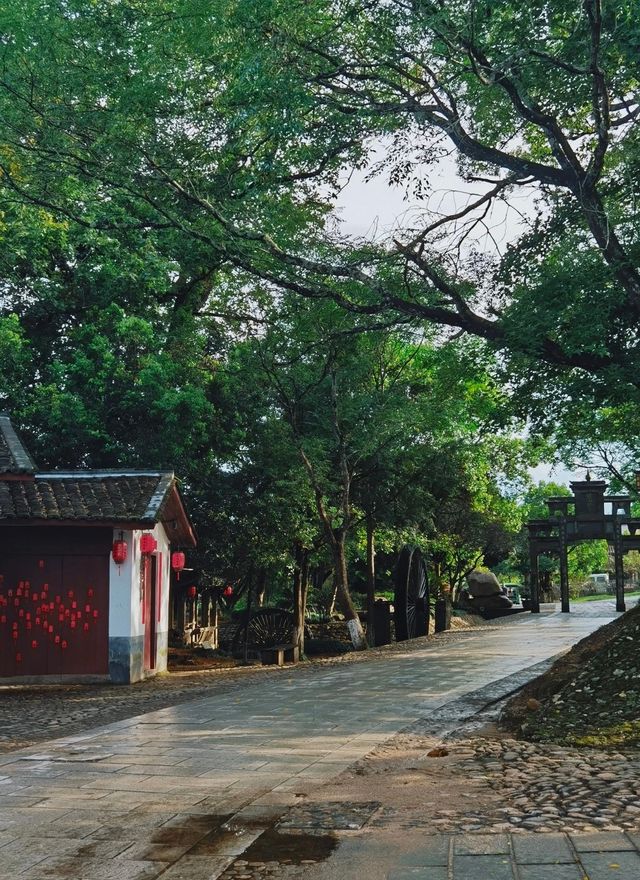 這個800年冷門原始古村，真的很適合隱居。。