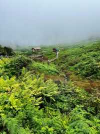 黑竹溝•馬里冷舊 ｜四川人的「阿勒泰」。