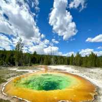 Yellowstone National Park 