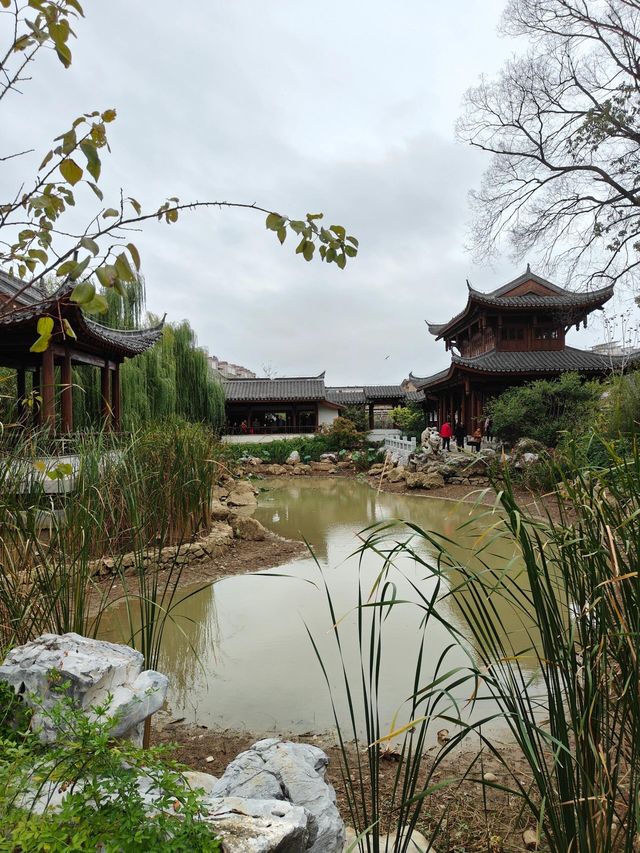六尺巷——文廟——龍眠山一日遊。