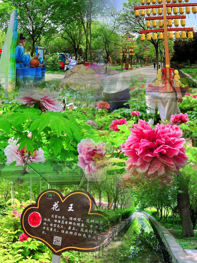 《洛陽隋唐植物園，一步一景皆詩意》。