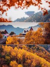 西安周邊我找到了賞秋紅葉天花板。