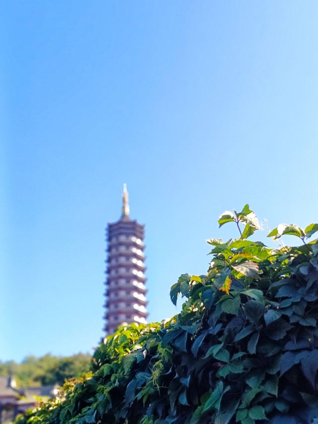 瀋陽怪坡：奇妙的自然奇觀。