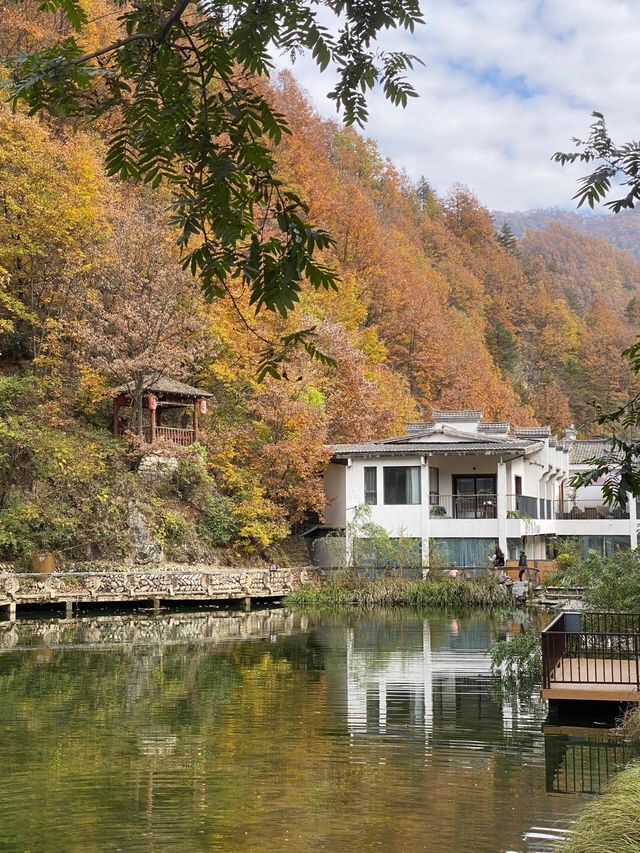 終南山寨。