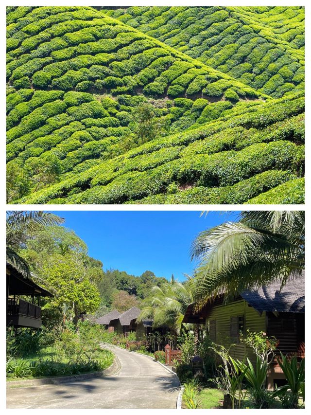 探索馬來西亞詩巫，體驗獨特的南洋風情。
