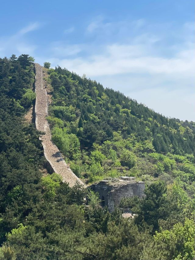 河北遷安|秋色 不小心撿個秋天。