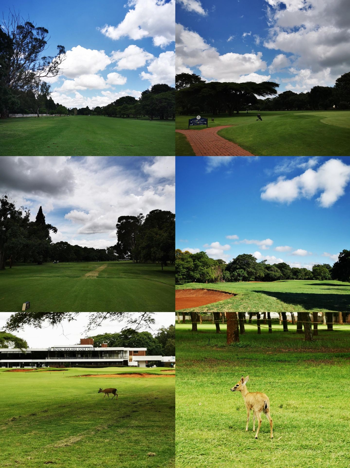 Harare, Zimbabwe is a rustic place. 