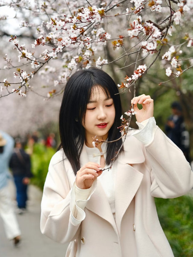成都的春天來啦快來東湖公園。
