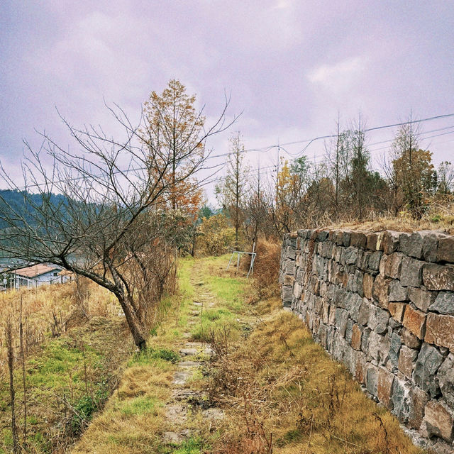 石柱旅遊｜來山與湖•湖心營探索自然之美，享受悠閒時光