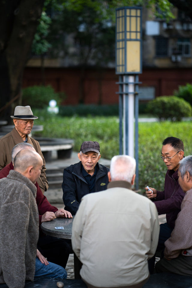 佛山超「植」愈的網紅老社區，盡顯森系花境。