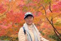 京都｜清水寺紅葉瀑布 風光無限