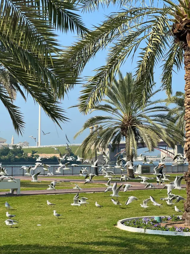 11-Day Egypt and Multi-Country Tour: Don't Miss These Popular Attractions!