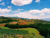 Amaxing Colors of Dongchuan: Mesmerizing Landscape