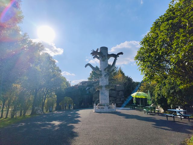 上海休閒的好地方顧村公園