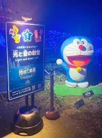 Visited the Sagamiko Light Show!!