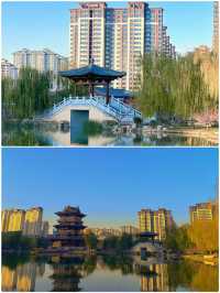定州已回，真的不建議12月去