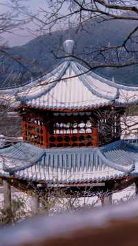 你是否想在安吉天池滑雪體驗不一樣的滑雪之旅?