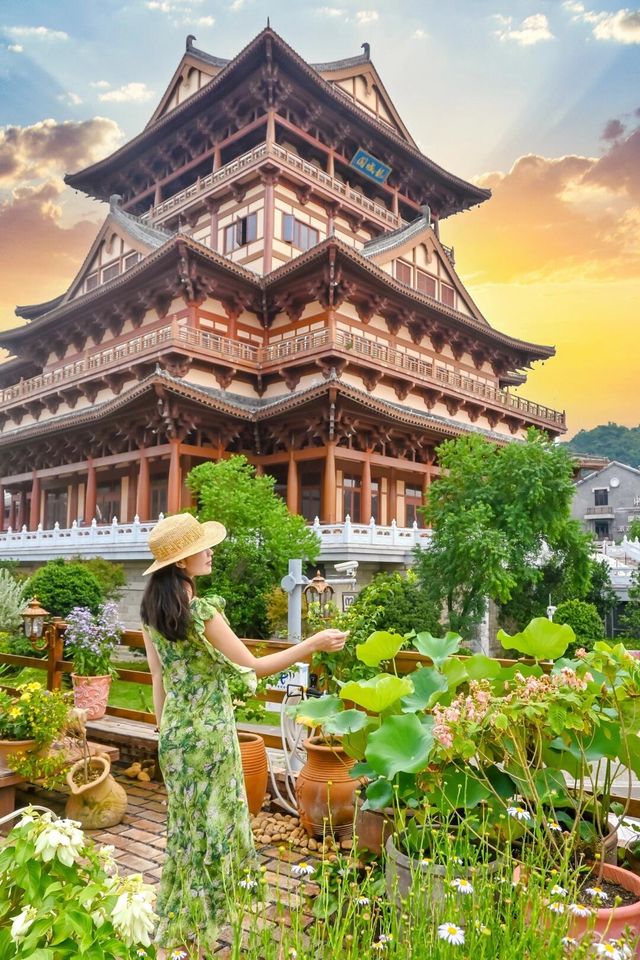 為了這個花景 | 專程來了趟柳州