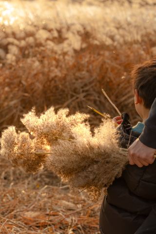 Depart from Hangzhou to Tiaoxi to experience the reeds in the Book of Songs
