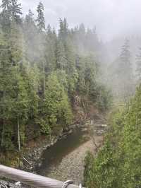 Experience the Thrill of Capilano Suspension Bridge Park