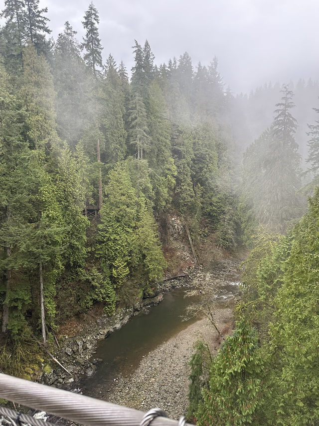 Experience the Thrill of Capilano Suspension Bridge Park