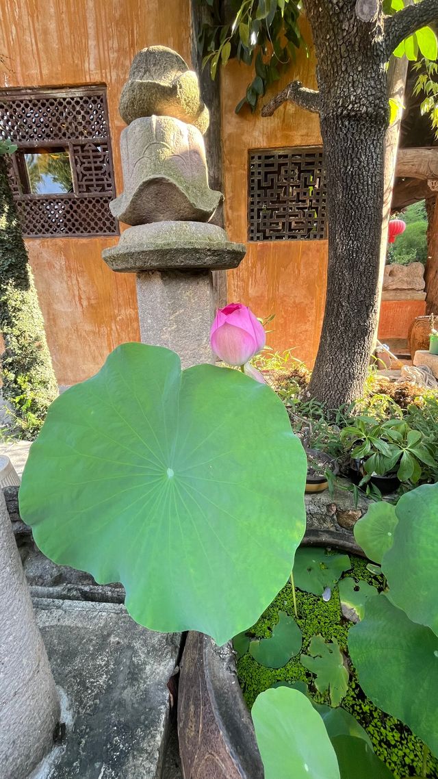 浦江龍潭古寺