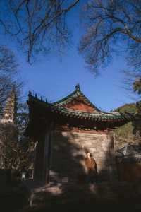 濟南旅行攻略，探秘冬日裡的千年古剎靈岩寺