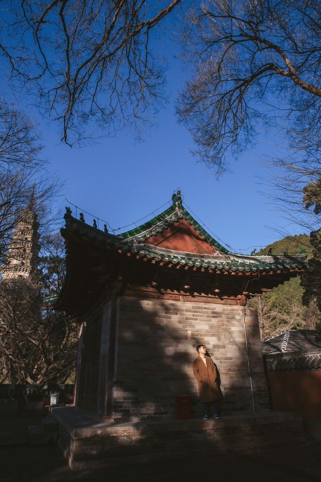 濟南旅行攻略，探秘冬日裡的千年古剎靈岩寺