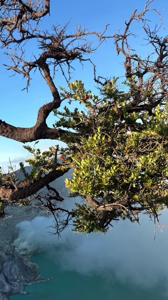 凌晨1點開始攀爬伊真火山