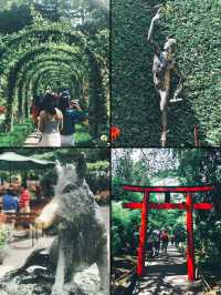 溫哥華｜最美麗的布查特花園