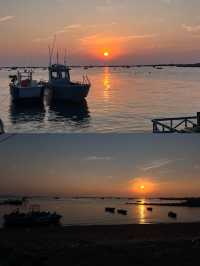 原生態的龍口桑島，村民以養海參為生
