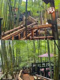 過年去日本 驚艷你的旅行體驗