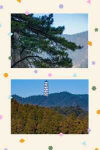 特種兵必看！4天3夜解鎖宜春小眾寶藏玩法