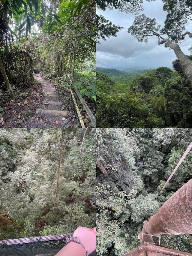 邂逅北干巴魯：南洋秘境的綺麗冒險