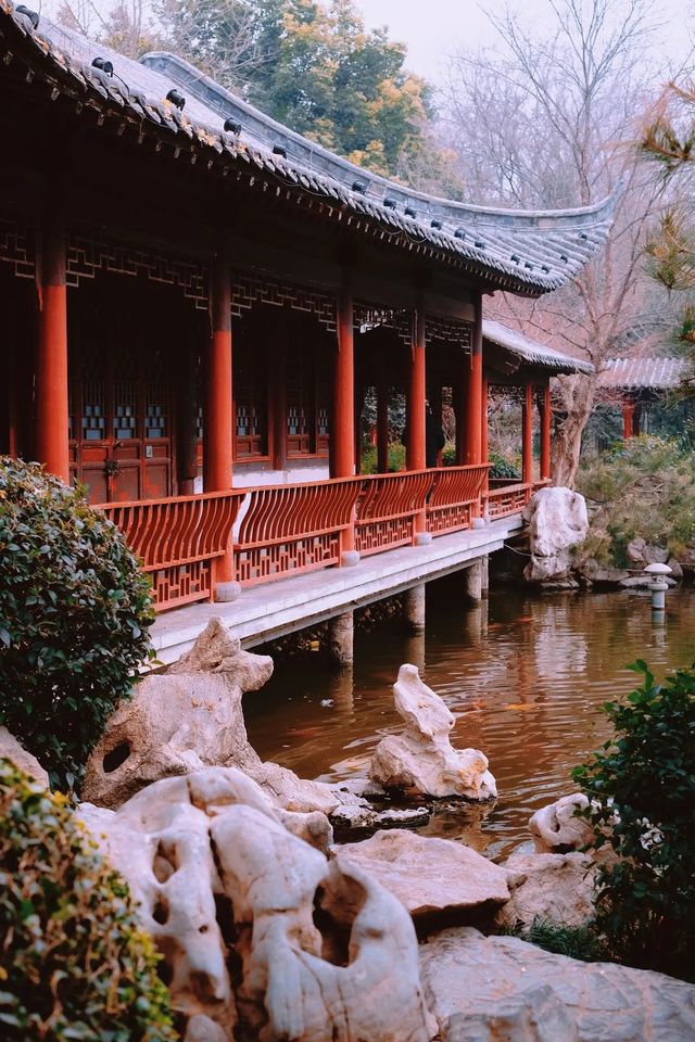 鄭州市中心，藏了一處寶藏～錦鯉觀賞園