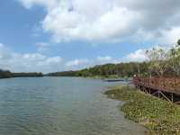 海南第一家湖泊型國家濕地公園--南麗湖國家濕地公園