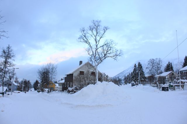 挪威•特羅姆瑟|沉浸式地體驗一次冰雪童話